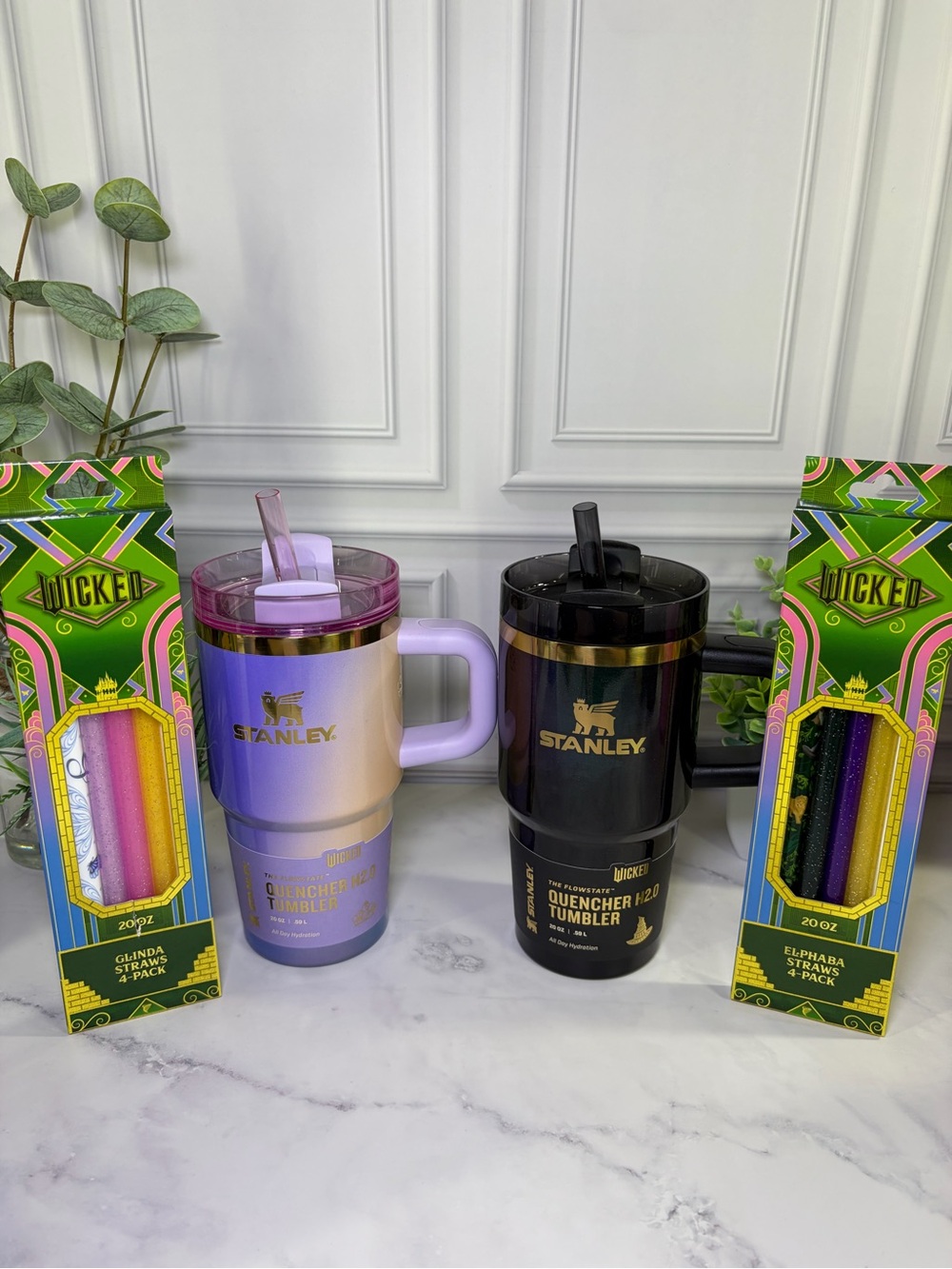 Stanley Wicked For Good 20oz Elphaba & Glinda Bundle BNWT